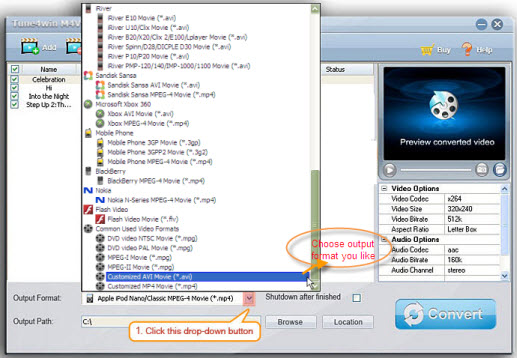 output formats for itunes movies conversion