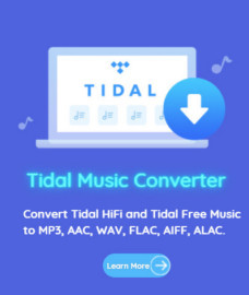 Tidal Music Converter